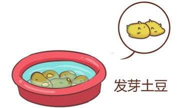 汤姆猫生活小常识:发芽的马铃薯不能吃_汤姆猫英雄