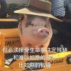 重生小冥王星16