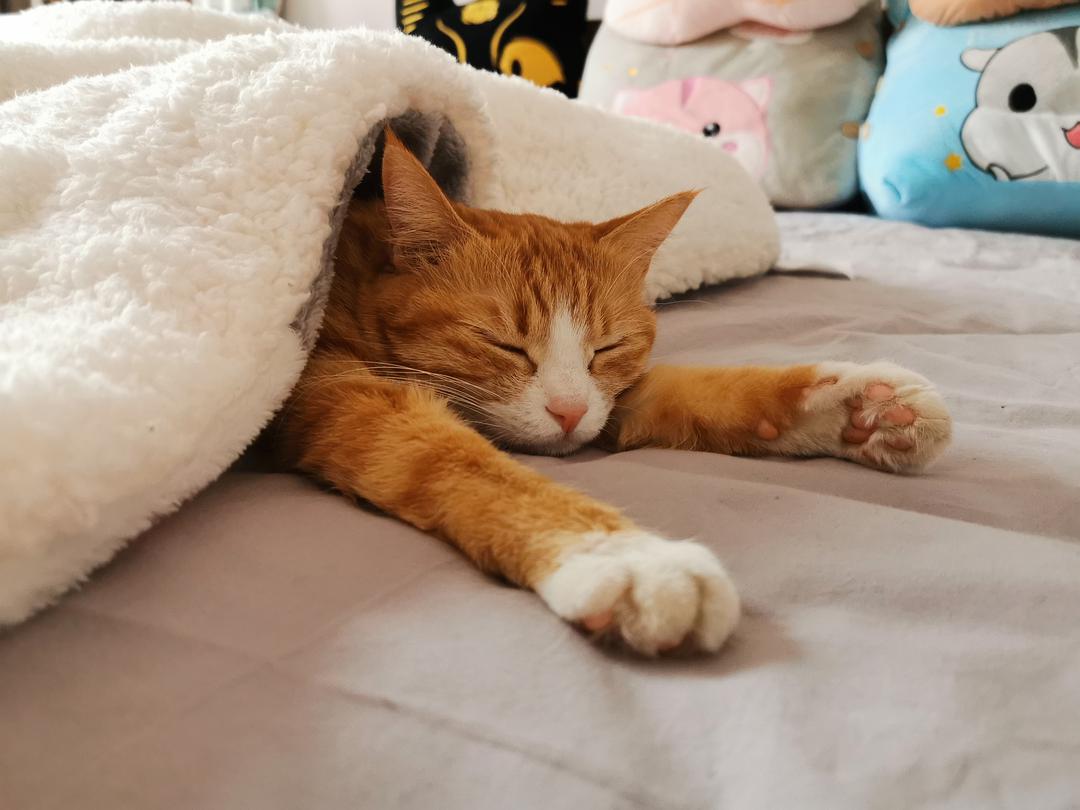 【开发者日志】震惊!牛魔王背后竟是!