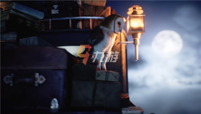 附件1636106288.jpg